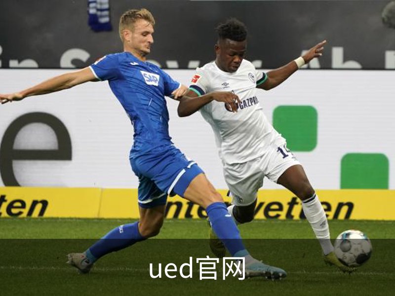 关于ued官网